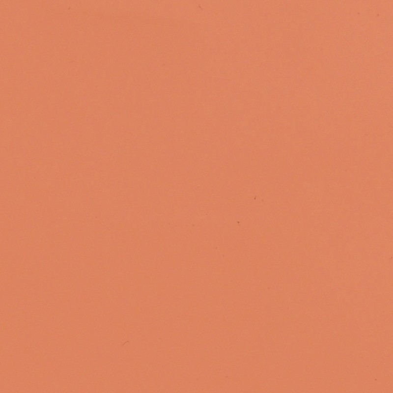 MG2P01 - Pêche Brillant